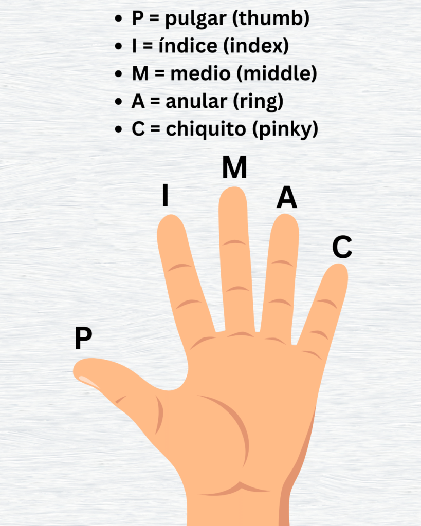 PIMA Guitar Fingers