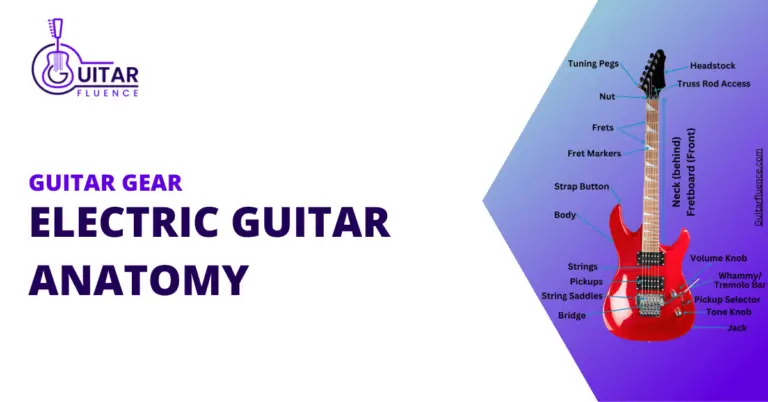 Electric guitar anatomy explained